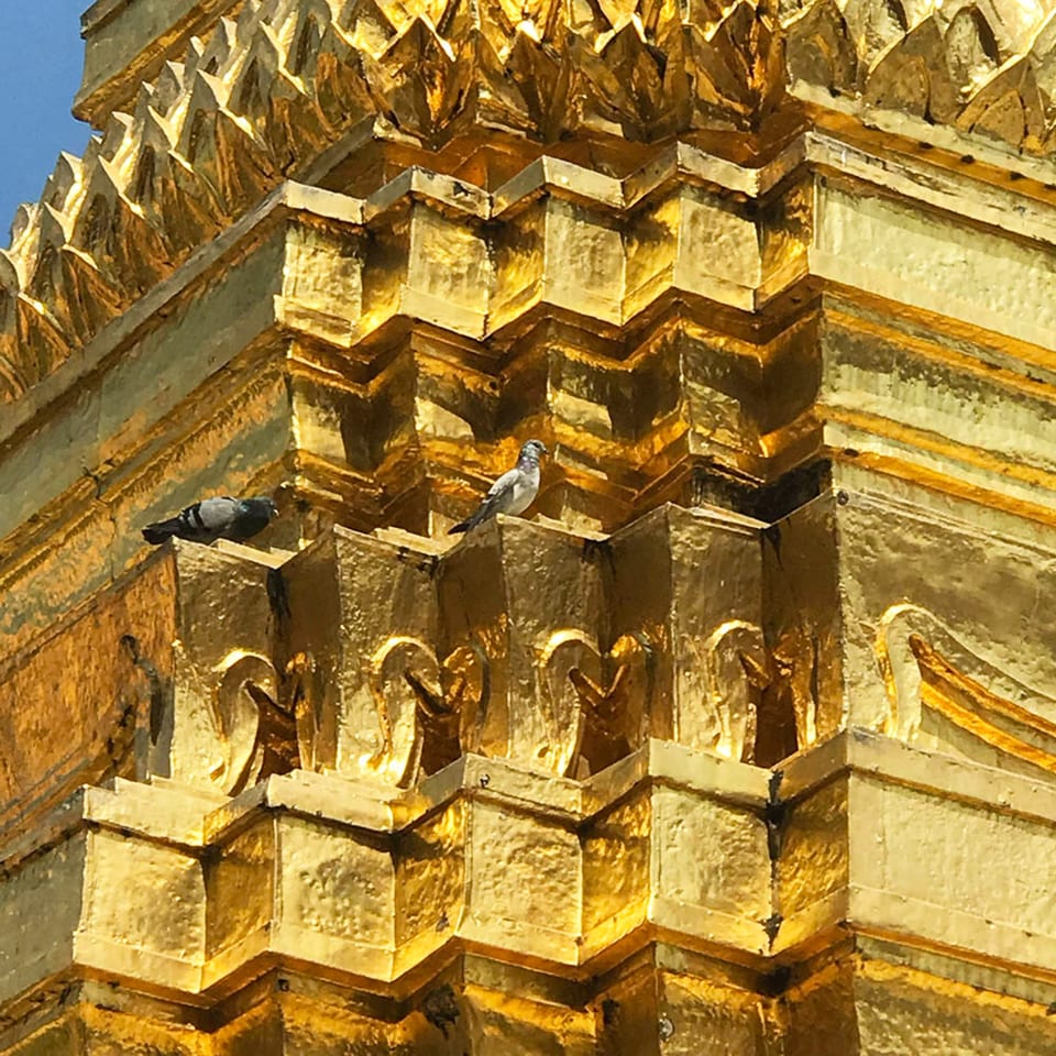 Two pigeons perched on the ornate, golden-tiered facade of a temple against a blue sky.