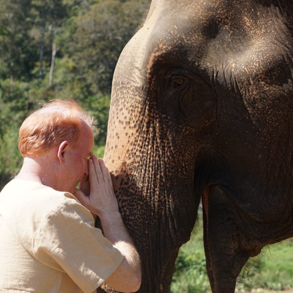 A man with red hair whispers into the ear of an elephant, both facing right.