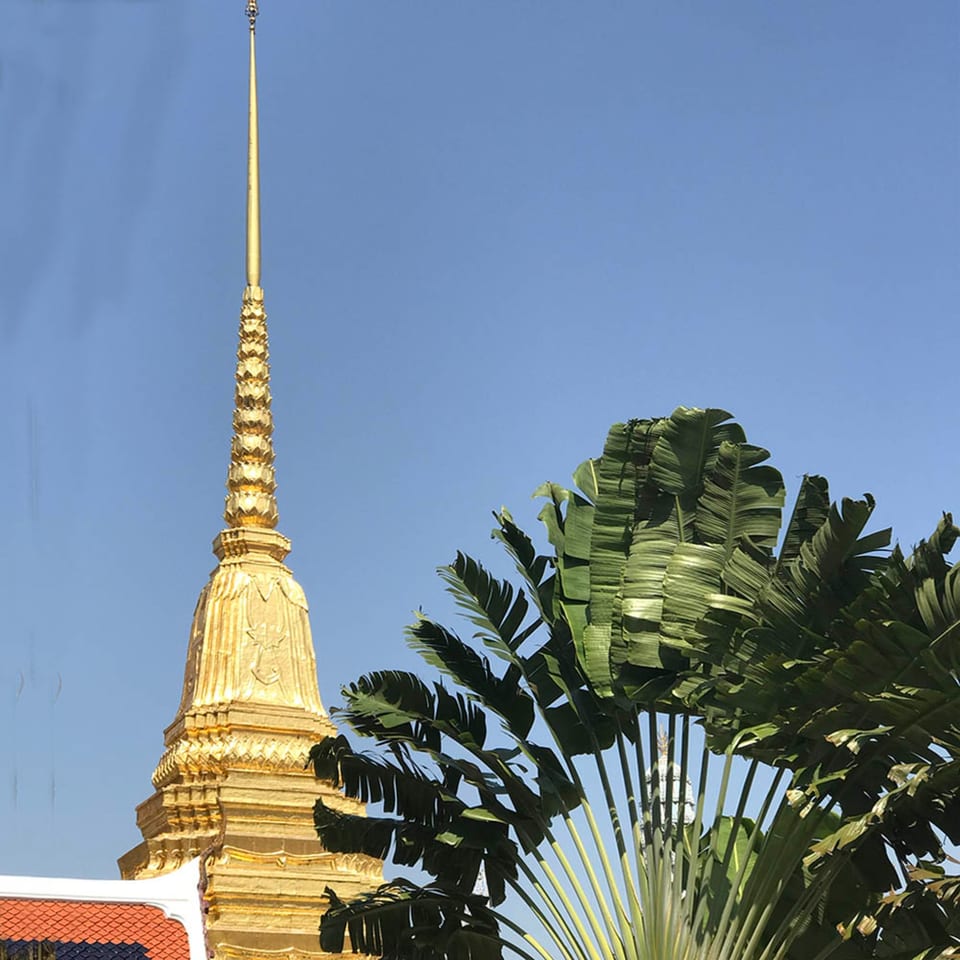 Golden temple spire against a clear blue sky, with large green palm fronds in the foreground.