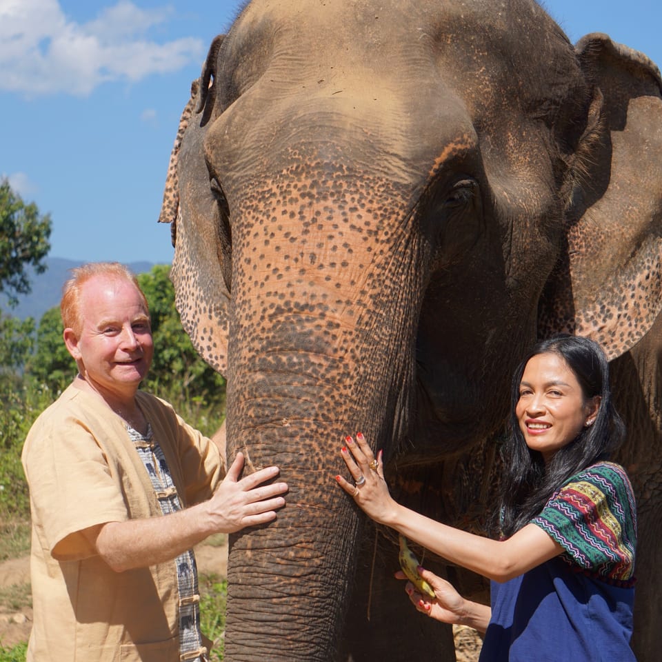 A man and woman gently touch an elephant's head and trunk, smiling outdoors.
